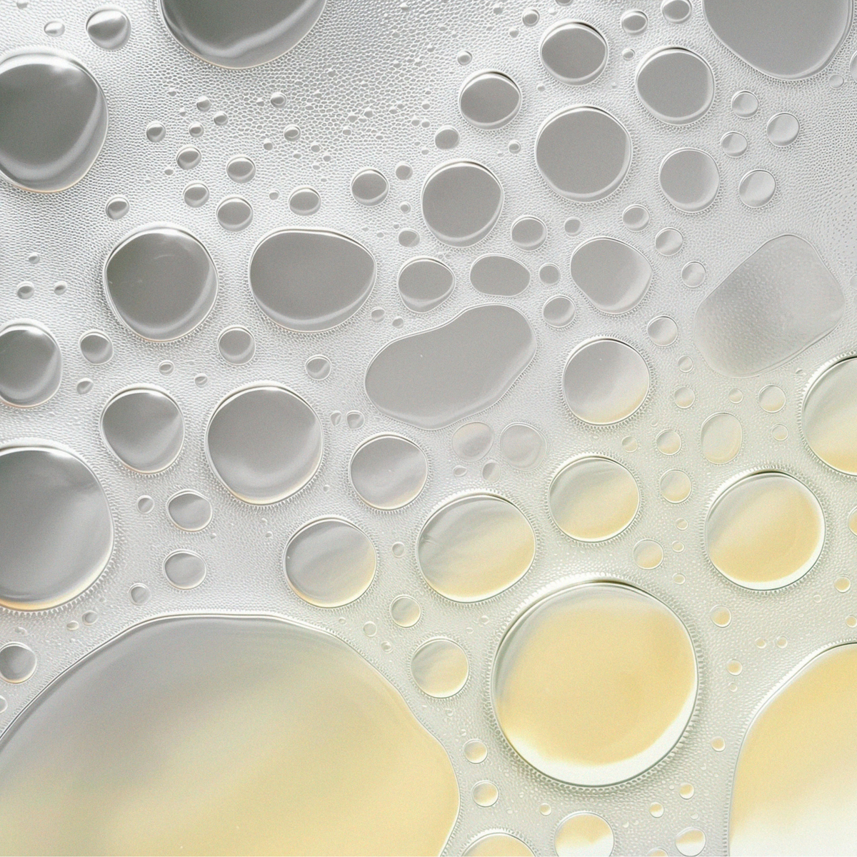 The Nourishing Body Wash
