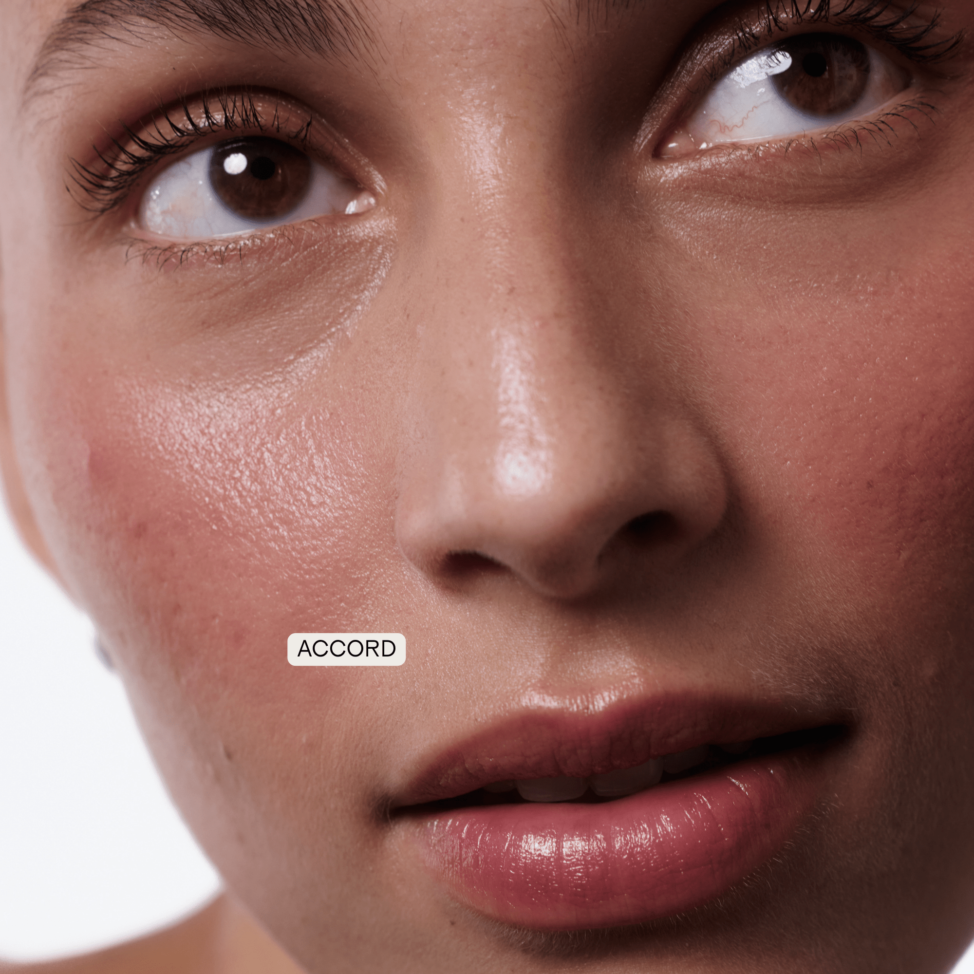 The Cream Blush - LACONICUM