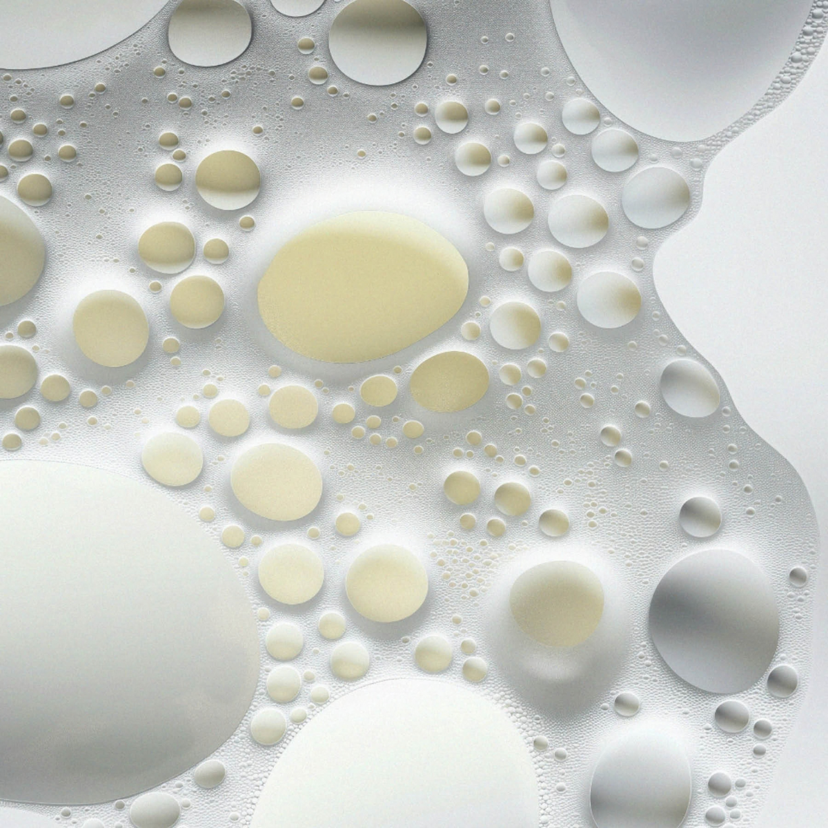 The Nourishing Shampoo